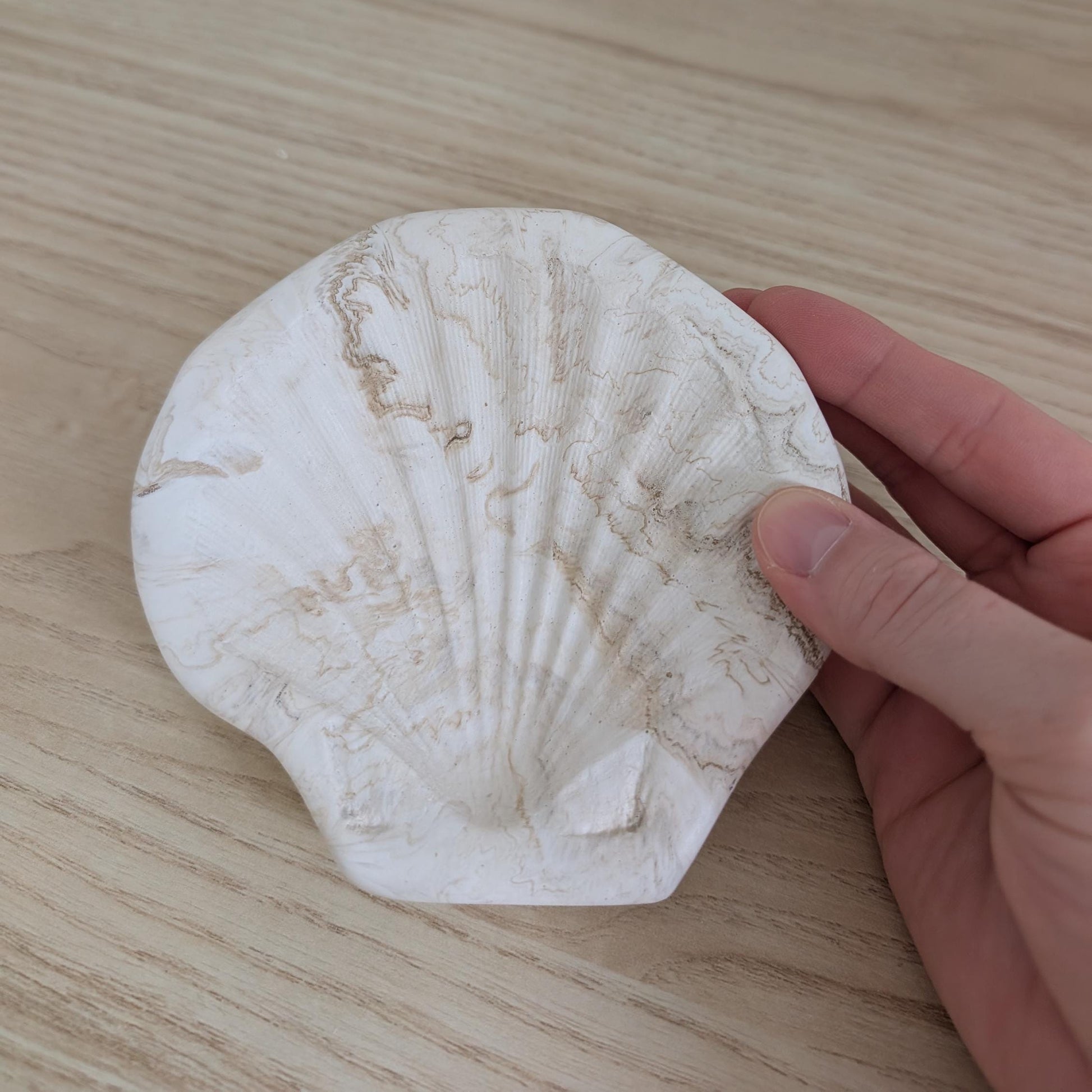 Scallop Jewelry Dish