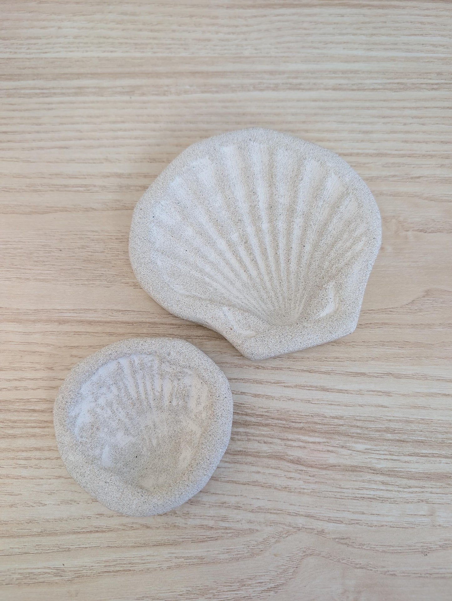 Concrete Scallop Shell Jewelry Dish