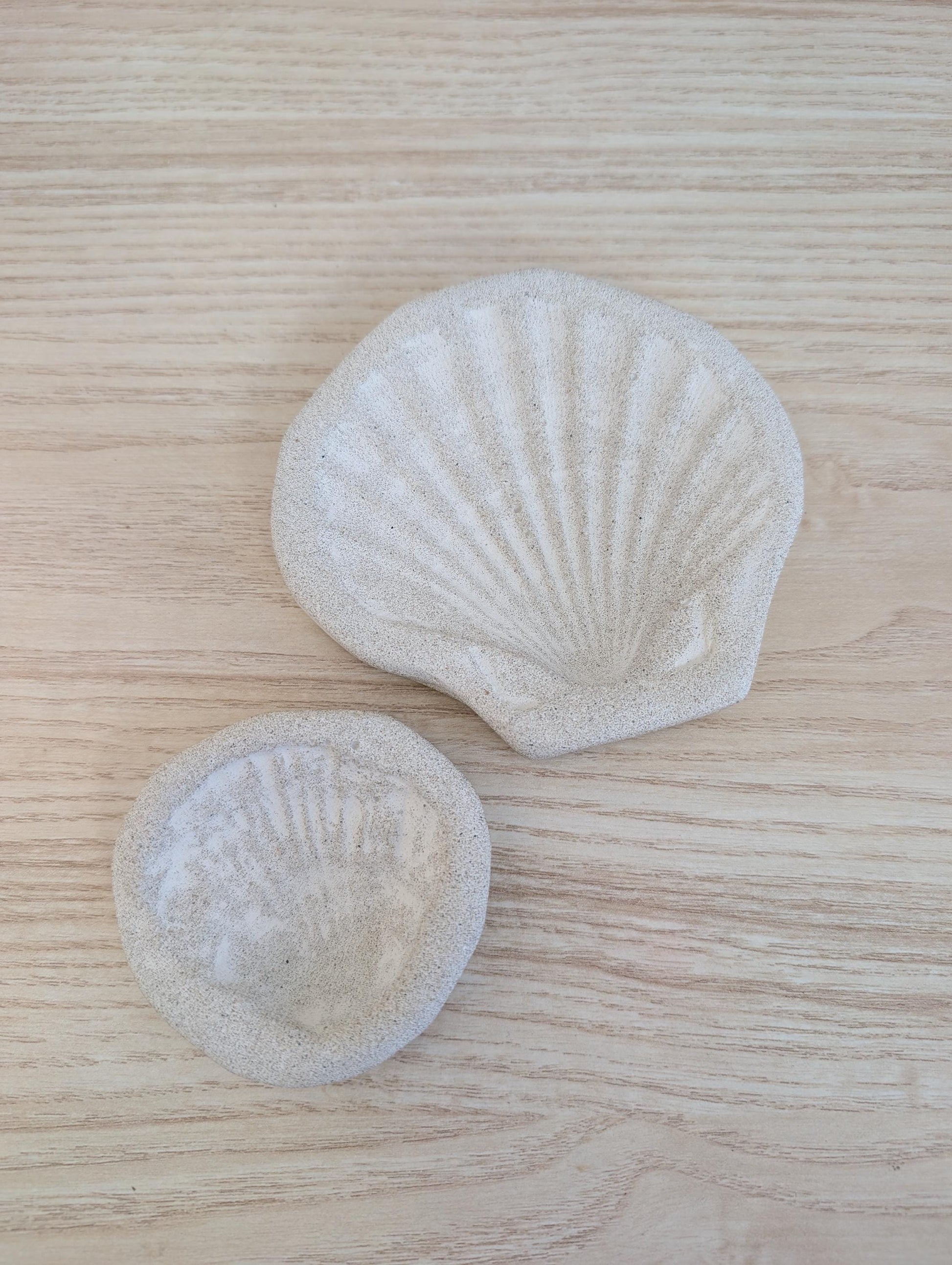 Concrete Scallop Shell Jewelry Dish