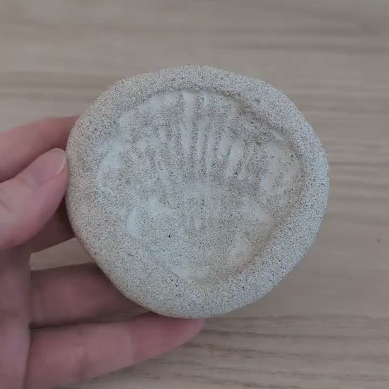 Concrete Oyster Shell Ring Dish