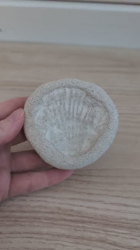 Concrete Oyster Shell Ring Dish